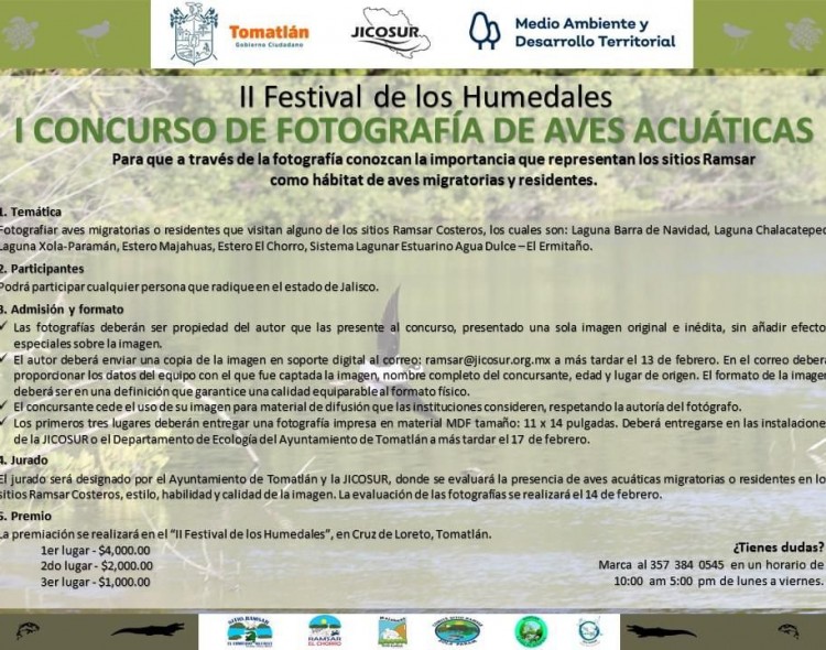 Concurso Fotografia