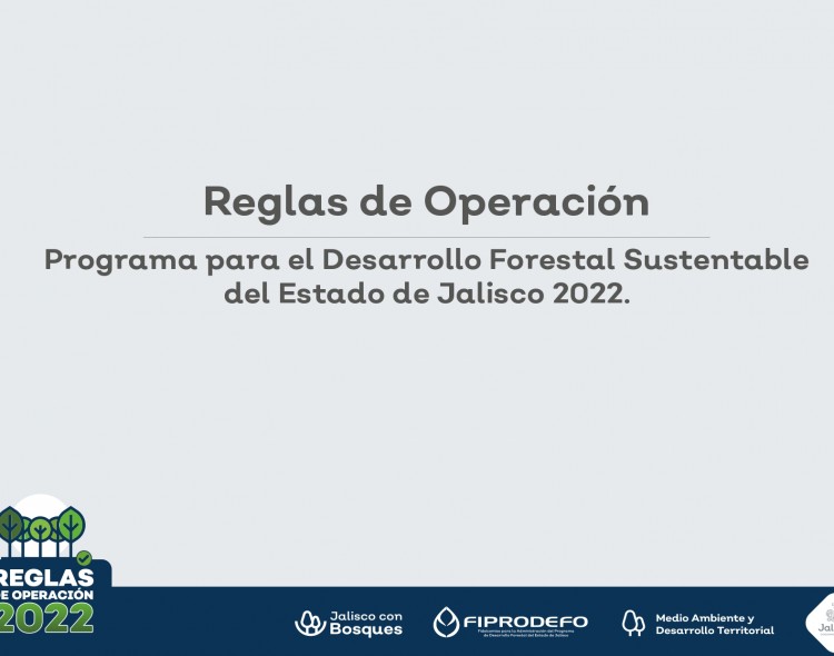 Presentacion ROP2022 1 page 0001